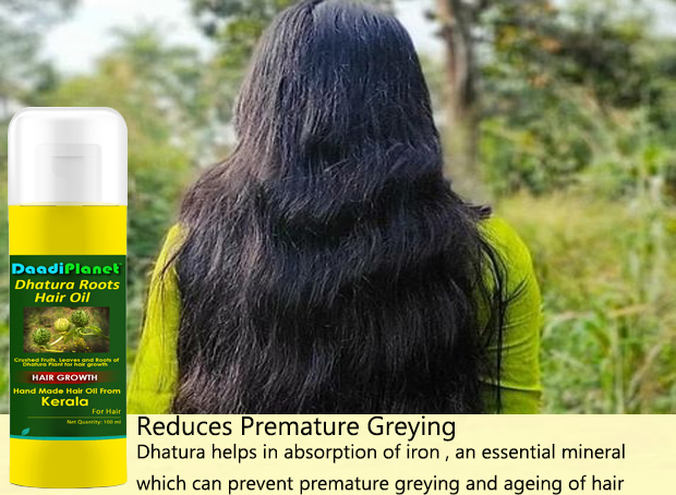 Ayurvedic Hair Oil Mix  Keralacafeonlinecom
